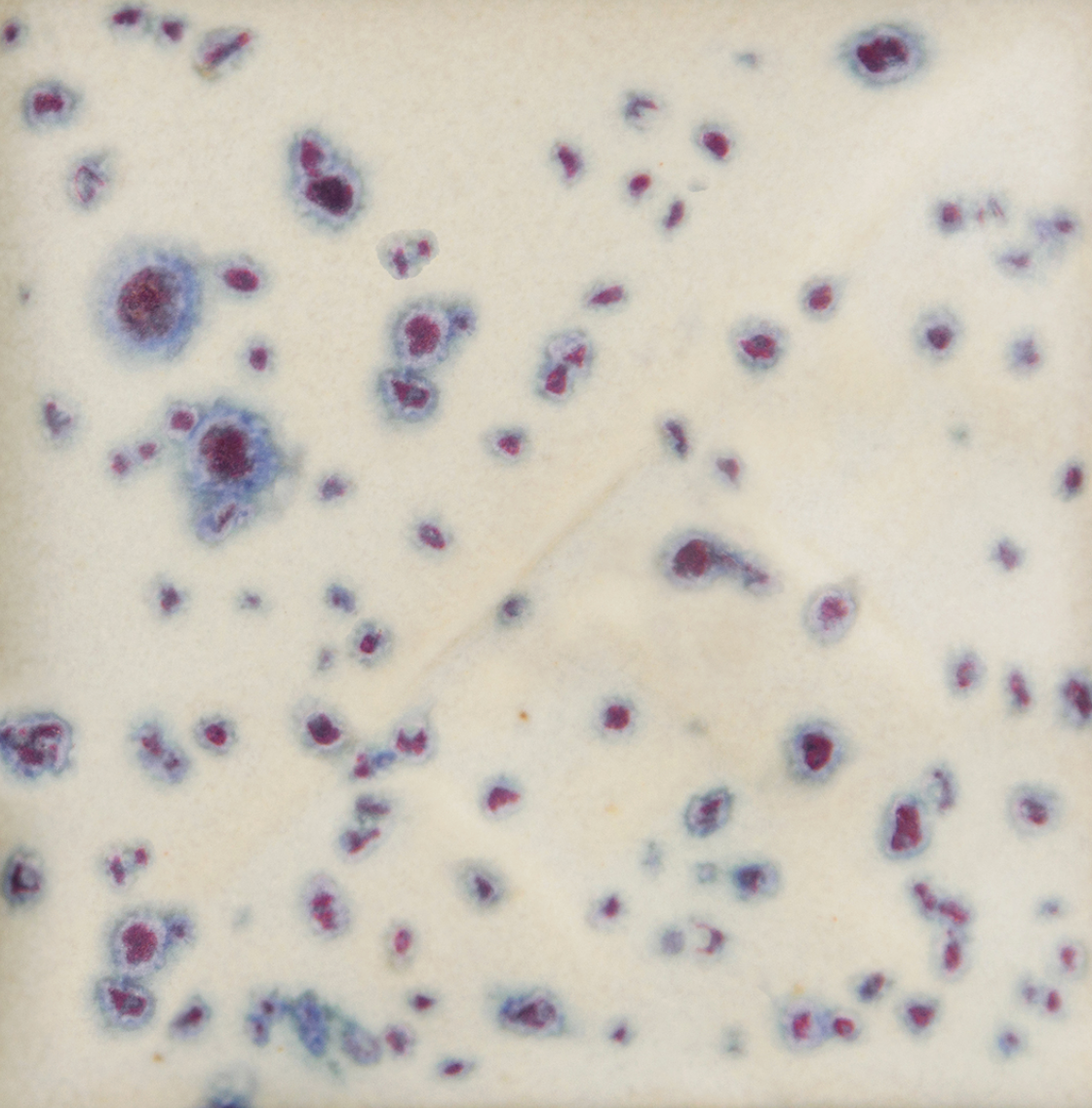 Indigo Rain - SW-153